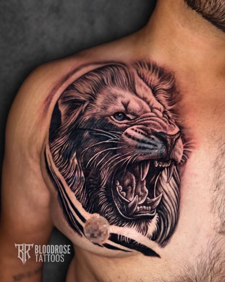 Roaring lion realism tattoo on the chest